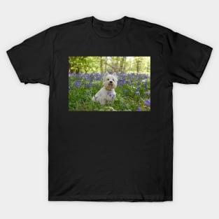 Westie in the bluebell woods T-Shirt